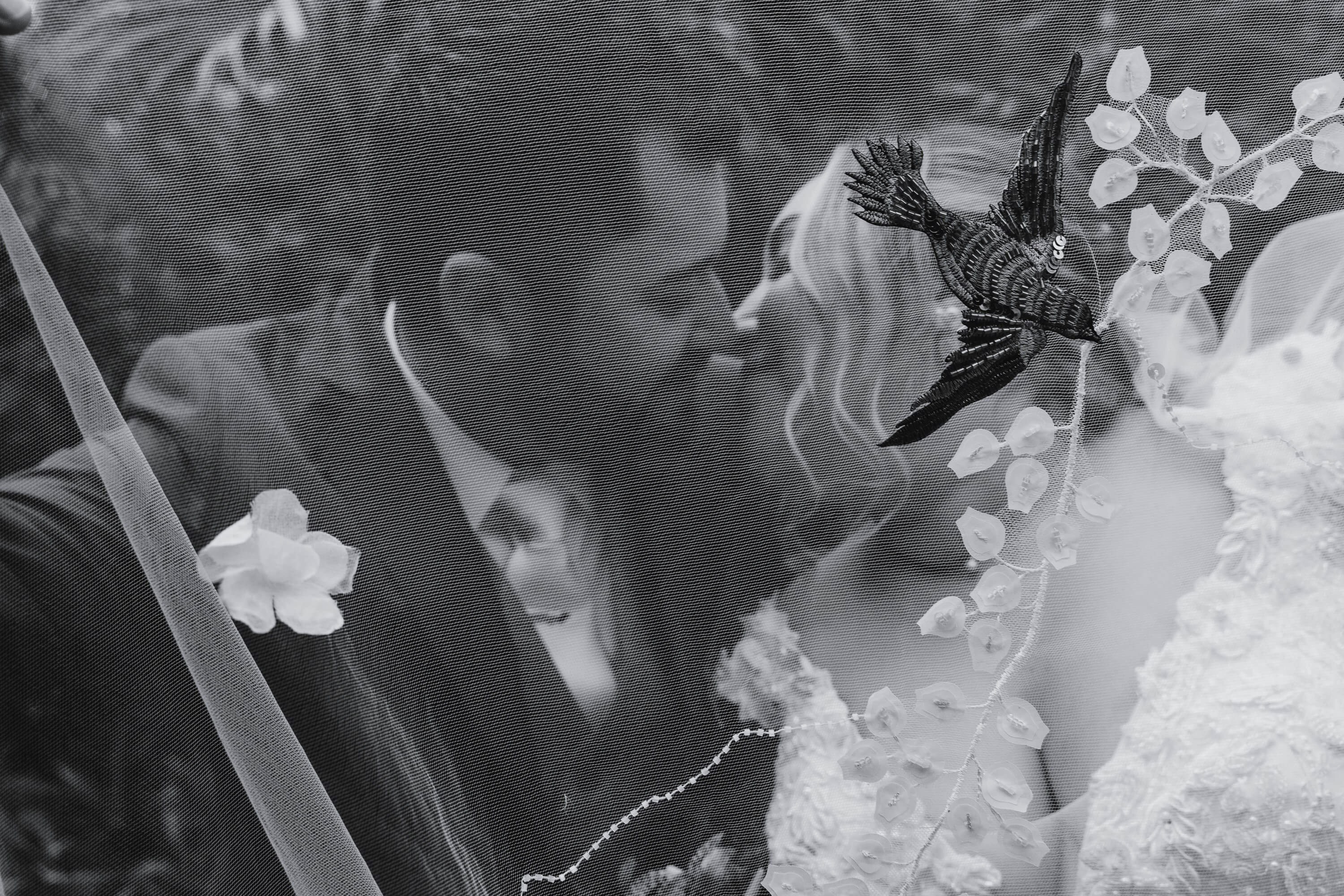 Casal se beija por trás de um véu de noiva